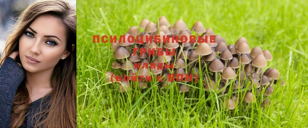 кристаллы Белоозёрский