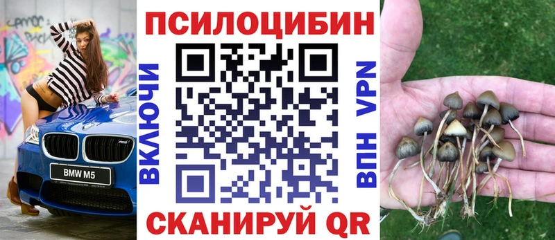 где продают наркотики  Красный Холм  Псилоцибиновые грибы Cubensis 